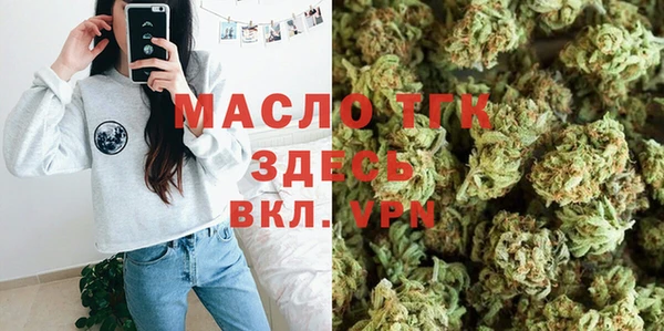 амф Верхний Тагил
