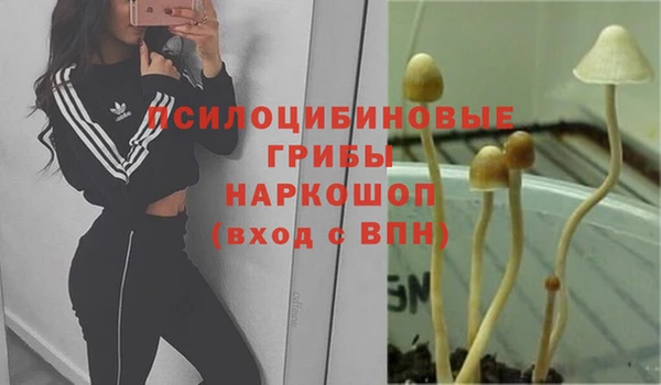 а пвп мука Верея