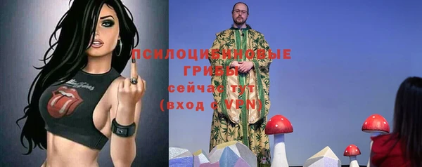 гидра Верхнеуральск