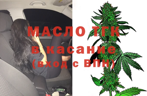 амф Верхний Тагил