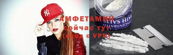 амф Верхний Тагил