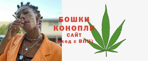 амф Верхний Тагил