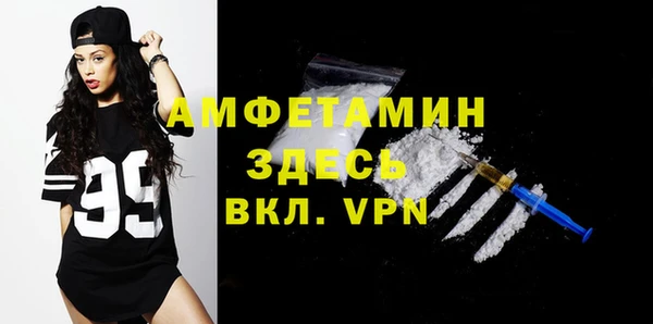 амф Верхний Тагил