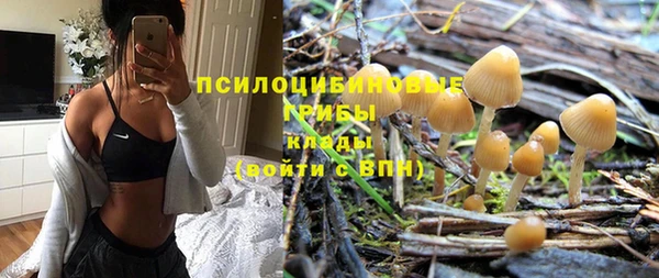 а пвп мука Верея