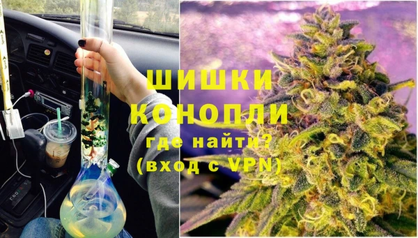 амф Верхний Тагил