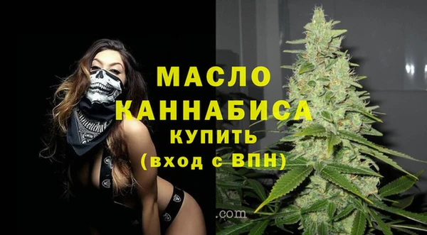 амф Верхний Тагил
