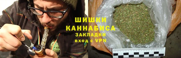 амф Верхний Тагил